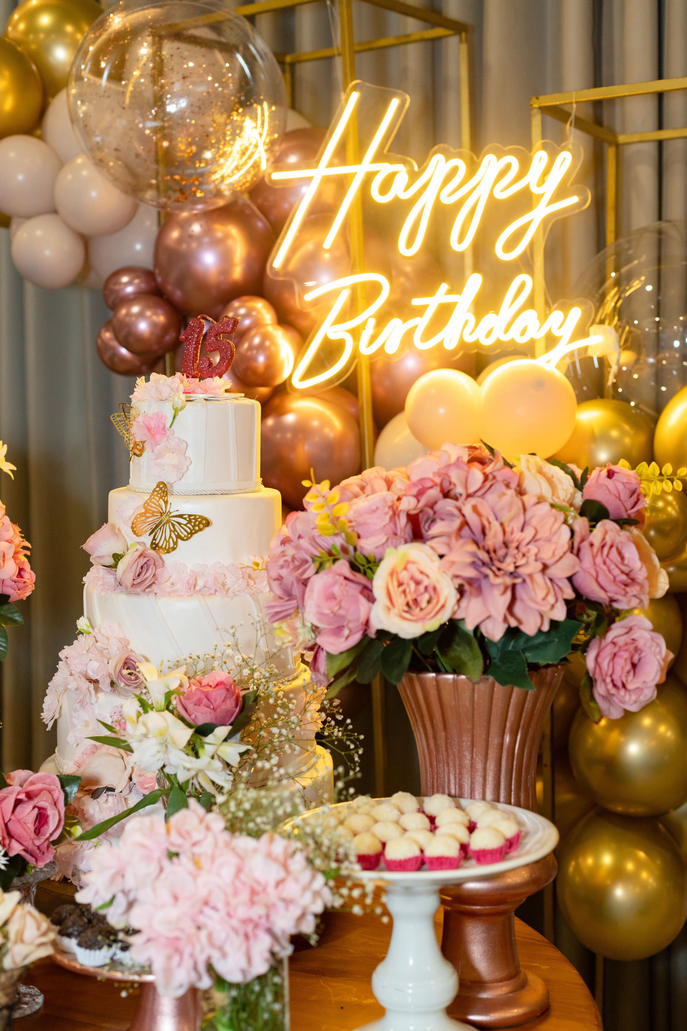 Aniversário 15 Anos Anna Julia